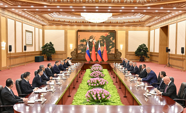 习斯洛伐克2.jpg